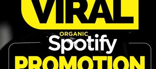 I will do organic spotify promotion for spotify music