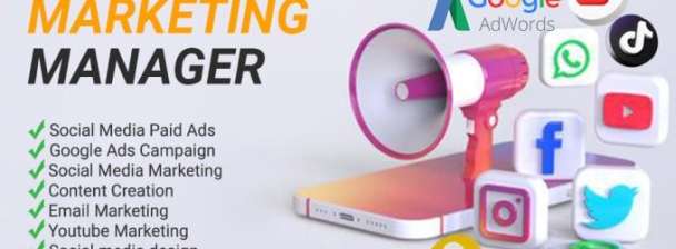 I will provide you as a Digital marketer, Social media account manager, Content Writer, Word press Developer