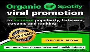 I will do organic promotion in our website for your spotify song