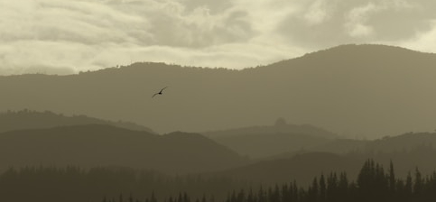 A glimpse to a fictional story I created a while ago