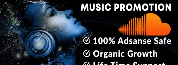 I will do organic spotify music promotion for you