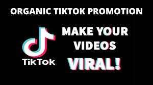 I will manage and promote your tik tok profile