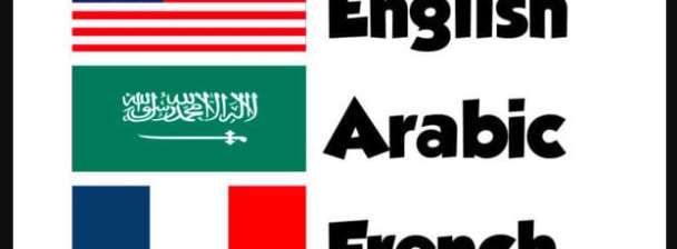 i will translate your documents in arabic french and english .