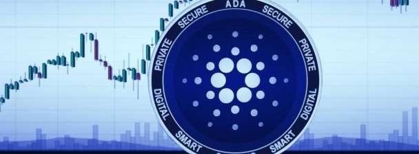 I will build a cardano stake pool, nft minting website