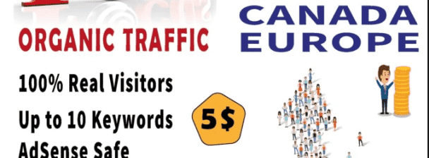 I will provide USA canada and europe organic traffic for your websites and applications