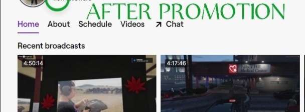 I will do twitch promoting, twitch marketing, twitch chatter