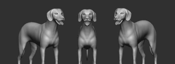 I will model 3d animal, rig, texture and animate with xgen hair for video game