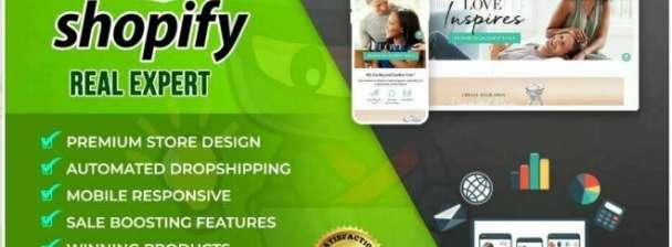 I will setup profitable shopify website or shopify store design