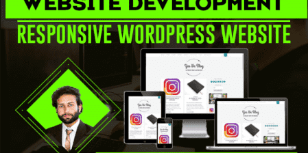 develop and design a professional wordpress website
