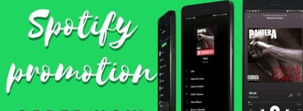I will do Spotify music promotion marketing traffic