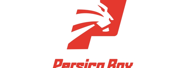 Professional logo and visual identity design