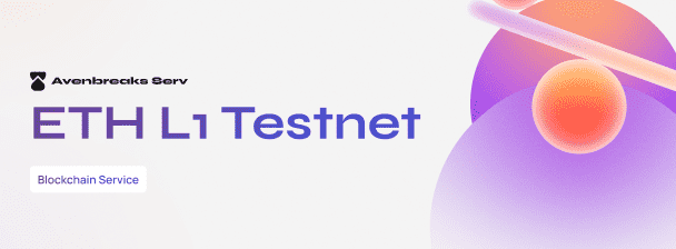 I Build Blockchain L1 Testnet EVM Based With Validators