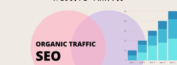 I will provide  huge organic website traffic, SEO Traffic