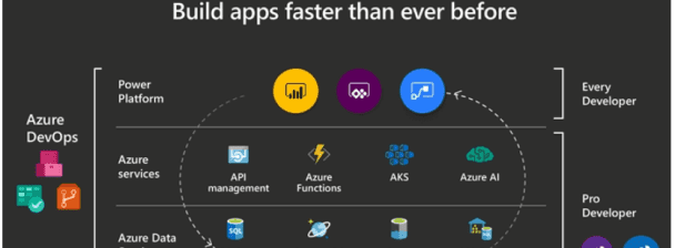 I will develop custom powerapps solutions for your business