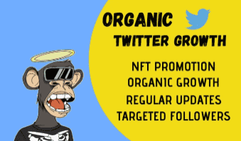 I will do fast organic twitter growth and nft promotion