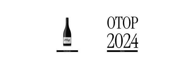 I'll design a unique professional and artistic logo