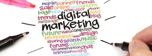 I will create your digital marketing strategy and action plan for growth