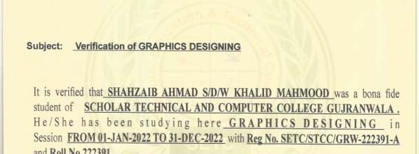 Professional Graphic Design Services