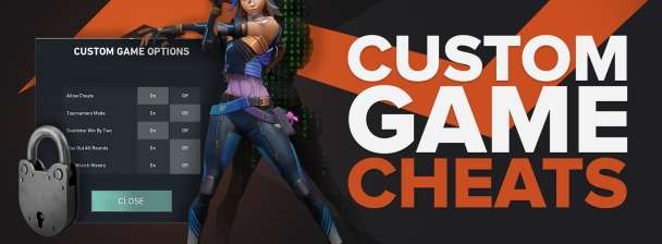 I will develop a cheat game, fortnite cheat, fighting and video game