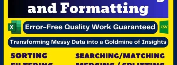 I will do ms excel data cleaning and formatting, merging, splitting, sorting, deduping