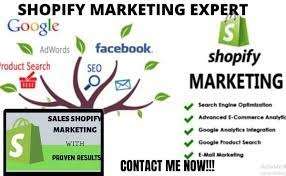 I will increase shopify dropshipping store sales, shopify marketing, shopify promotion