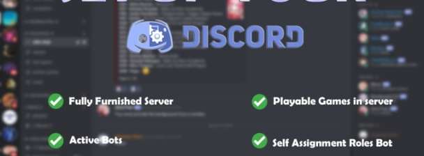 I will professionally setup your discord server