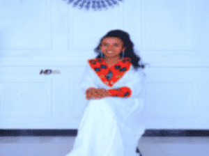 I will do data entry, transcription, and English-Amharic translation