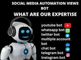 I will create an youtube automation instagram bot,twitter bot and telegram bot for you