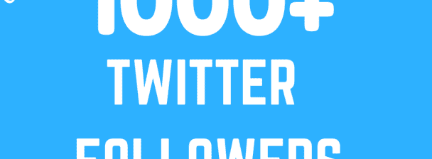 provide you 1000 twitter followers fast