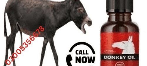 Donkey Oil in Jehlum / 03005356678 / free shipping