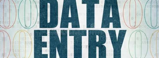 I will provide data entry service.