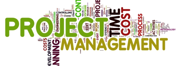 I will be your business project management expert for personal ventures