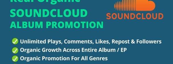 I will do quality organic soundcloud promotion through my network