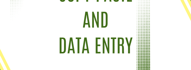 I wil provide Data Entry and Copy-Paste Work for Small Business