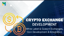 I will design and develop exchanges, cex, amm, dex, dapp, defi projects