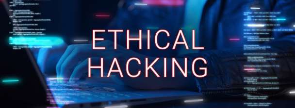 Professional Ethical Hacker - Secure Your Website
