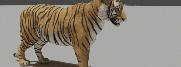 I will model 3d animal, rig, texture and animate with xgen hair for video game