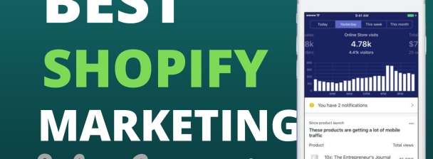 I will design shopify print on demand shopify dropshipping website etsy print on demand
