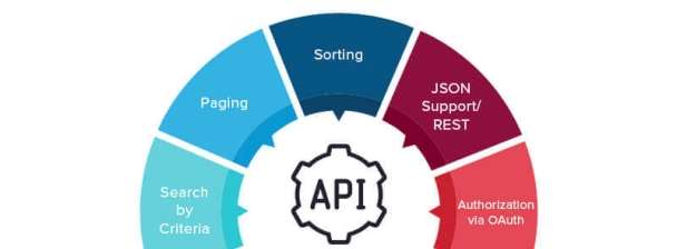 Developing of an API