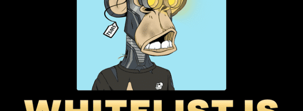 I will do nft discord whitelist in any discord server