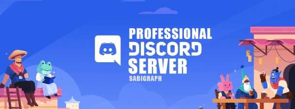 I will setup a super professional Discord server for you