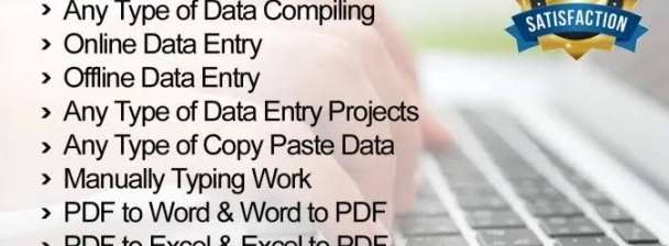 I will do typing job,copy paste data, scanned any documents.
