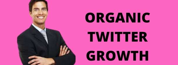 do super fast organic twitter growth nft promotion