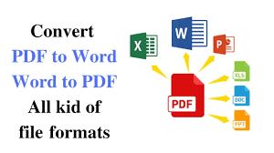 I will convert your PDF in all kind of file format