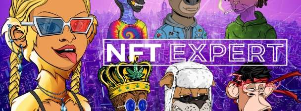 I will create nft art 2d collections with 100, 1k, 10k nfts