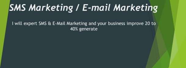 I will sms marketing, text message, flyer and email marketing