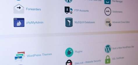 WordPress Developer for Customizations and Adjustments