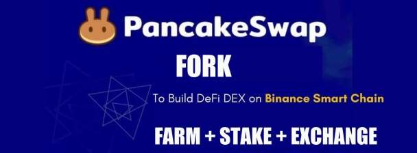 I will Clone Pancakeswap, Dex and Defi (Demo link available)