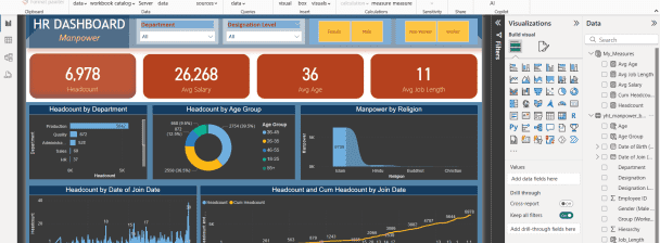 Professional Data Analysis & Visualization Service