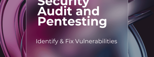 I will web application security audit and pentesting